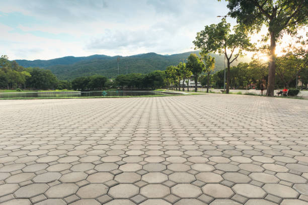 Best Concrete Paver Driveway  in Piney Mountain, VA