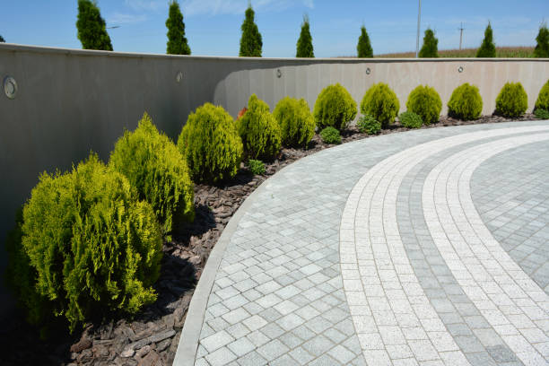 Best Residential Paver Driveway  in Piney Mountain, VA