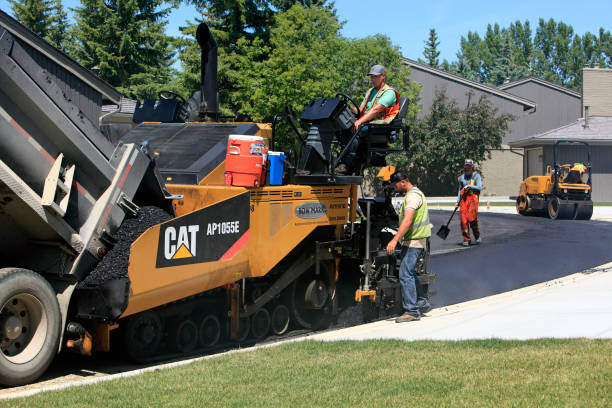 Best Driveway Paving Contractor  in Piney Mountain, VA