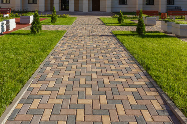 Best Best Driveway Pavers  in Piney Mountain, VA